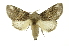  ( - INB0004102476)  @13 [ ] Copyright (2012) Juan Mata Lorenzen Unspecified