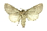  ( - INB0004102476)  @13 [ ] Copyright (2012) Juan Mata Lorenzen Unspecified