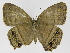  ( - INB0004103325)  @11 [ ] Copyright (2011) J. Montero Instituto Nacional de Biodiversidad