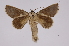  ( - INB0004103605)  @13 [ ] Copyright (2012) I. Chacon Instituto Nacional de Biodiversidad