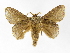  ( - INB0004103654)  @13 [ ] Copyright (2012) J. Montero Instituto Nacional de Biodiversidad