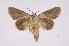  ( - INB0004103655)  @13 [ ] Copyright (2012) I. Chacon Instituto Nacional de Biodiversidad