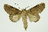  ( - INB0004103659)  @14 [ ] Copyright (2012) Juan Mata Lorenzen Unspecified