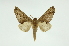  ( - INB0004103666)  @15 [ ] Copyright (2012) Juan Mata Lorenzen Unspecified