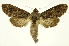  ( - INB0004103679)  @13 [ ] Copyright (2012) Juan Mata Lorenzen Unspecified