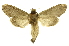  ( - INB0004103679)  @13 [ ] Copyright (2012) Juan Mata Lorenzen Unspecified