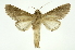  ( - INB0004103713)  @13 [ ] Copyright (2012) Juan Mata Lorenzen Unspecified