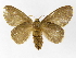 ( - INB0004103801)  @14 [ ] Copyright (2012) J. Montero Instituto Nacional de Biodiversidad