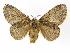  ( - INB0004103802)  @14 [ ] Copyright (2012) J. Montero Instituto Nacional de Biodiversidad