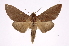  ( - INB0004103959)  @14 [ ] Copyright (2012) I. Chacon Instituto Nacional de Biodiversidad