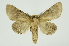  ( - INB0004104049)  @13 [ ] Copyright (2012) Juan Mata Lorenzen Unspecified