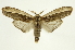  ( - INB0004104144)  @15 [ ] Copyright (2012) J. Montero INBio