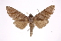  ( - INB0004104155)  @13 [ ] Copyright (2012) I. Chacon Instituto Nacional de Biodiversidad
