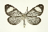  ( - INB0004105693)  @12 [ ] Copyright (2012) Juan Mata Lorenzen Unspecified