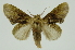  ( - INB0004107143)  @11 [ ] Copyright (2012) Juan Mata Lorenzen Unspecified