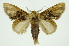  ( - INB0004107273)  @11 [ ] Copyright (2012) Juan Mata Lorenzen Unspecified