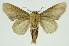  ( - INB0004107273)  @11 [ ] Copyright (2012) Juan Mata Lorenzen Unspecified