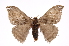  ( - INB0004107276)  @14 [ ] Copyright (2012) I. Chacon Instituto Nacional de Biodiversidad