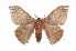  ( - INB0004107276)  @14 [ ] Copyright (2012) I. Chacon Instituto Nacional de Biodiversidad
