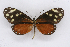  ( - INB0004107480)  @14 [ ] CreativeCommons - Attribution Non-Commercial Share-Alike (2012) National Biodiversity Institute of Costa Rica National Biodiversity Institute of Costa Rica