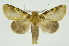  ( - INB0004110839)  @13 [ ] Copyright (2012) Juan Mata Lorenzen Unspecified