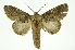  ( - INB0004110851)  @14 [ ] Copyright (2012) Juan Mata Lorenzen Unspecified