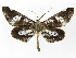  ( - INB0004110869)  @14 [ ] Copyright (2012) J. Montero Instituto Nacional de Biodiversidad