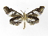 ( - INB0004110869)  @13 [ ] Copyright (2012) J. Montero Instituto Nacional de Biodiversidad