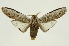  ( - INB0004110872)  @14 [ ] Copyright (2012) Juan Mata Lorenzen Unspecified