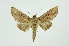  ( - INB0004110883)  @14 [ ] Copyright (2012) Juan Mata Lorenzen INBio