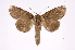  ( - INB0004110898)  @14 [ ] Copyright (2012) I. Chacon Instituto Nacional de Biodiversidad