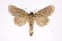  ( - INB0004110898)  @14 [ ] Copyright (2012) I. Chacon Instituto Nacional de Biodiversidad