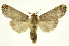  ( - INB0004110907)  @13 [ ] Copyright (2012) Juan Mata Lorenzen Unspecified