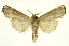  ( - INB0004110907)  @14 [ ] Copyright (2012) Juan Mata Lorenzen Unspecified