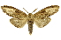 ( - INB0004110928)  @13 [ ] Copyright (2012) Juan Mata Lorenzen Unspecified