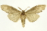  ( - INB0004110928)  @12 [ ] Copyright (2012) Juan Mata Lorenzen Unspecified