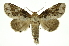 ( - INB0004110980)  @14 [ ] Copyright (2012) Juan Mata Lorenzen Unspecified