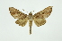  ( - INB0004111000)  @13 [ ] Copyright (2012) Juan Mata Lorenzen INBio