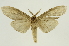  ( - INB0004111031)  @12 [ ] Copyright (2012) Juan Mata Lorenzen Unspecified