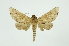 ( - INB0004111039)  @13 [ ] Copyright (2012) Juan Mata Lorenzen INBio