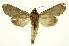  ( - INB0004111055)  @13 [ ] Copyright (2012) Juan Mata Lorenzen Unspecified