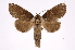  ( - INB0004111096)  @13 [ ] Copyright (2012) I. Chacon Instituto Nacional de Biodiversidad