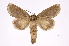 ( - INB0004111096)  @13 [ ] Copyright (2012) I. Chacon Instituto Nacional de Biodiversidad
