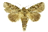  ( - INB0004111101)  @11 [ ] Copyright (2012) Juan Mata Lorenzen Unspecified