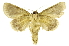  ( - INB0004111101)  @11 [ ] Copyright (2012) Juan Mata Lorenzen Unspecified