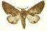  ( - INB0004115953)  @14 [ ] Copyright (2012) J. Montero INBio