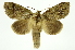  ( - INB0004115962)  @15 [ ] Copyright (2012) Juan Mata Lorenzen Unspecified