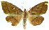 ( - INB0004115969)  @14 [ ] CreativeCommons - Attribution Non-Commercial Share-Alike (2012) National Biodiversity Institute of Costa Rica National Biodiversity Institute of Costa Rica