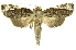  ( - INB0004117659)  @14 [ ] Copyright (2012) Juan Mata Lorenzen Unspecified