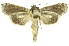  ( - INB0004117659)  @13 [ ] Copyright (2012) Juan Mata Lorenzen Unspecified